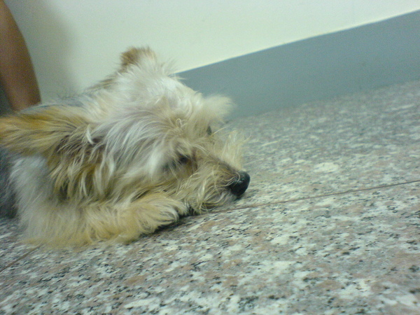 DSC00334.JPG