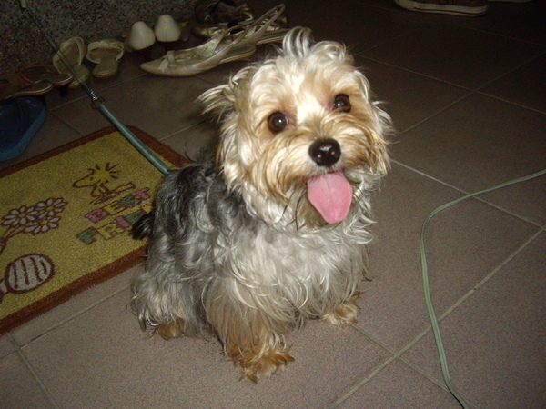 IMGP2293.JPG