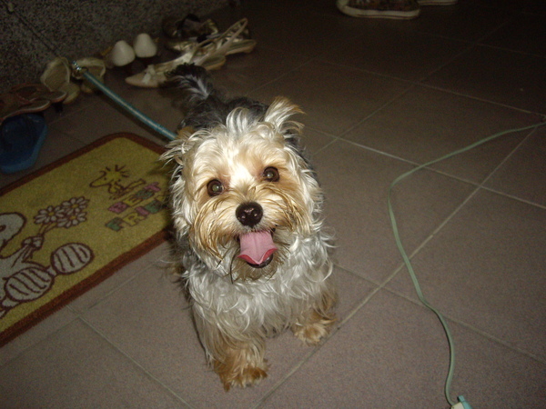 IMGP2291.JPG