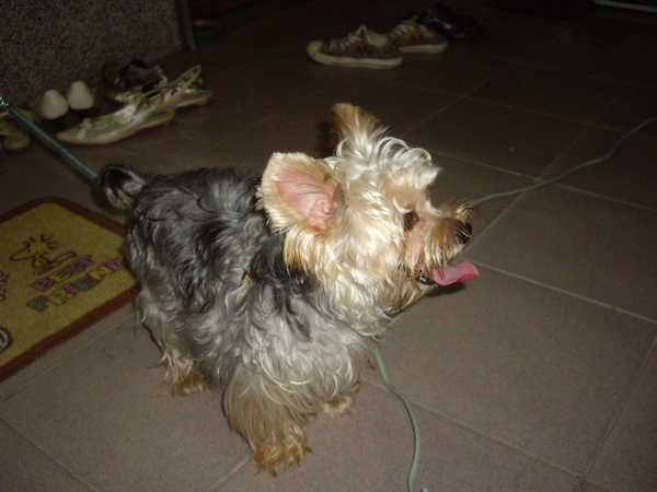 IMGP2292.JPG