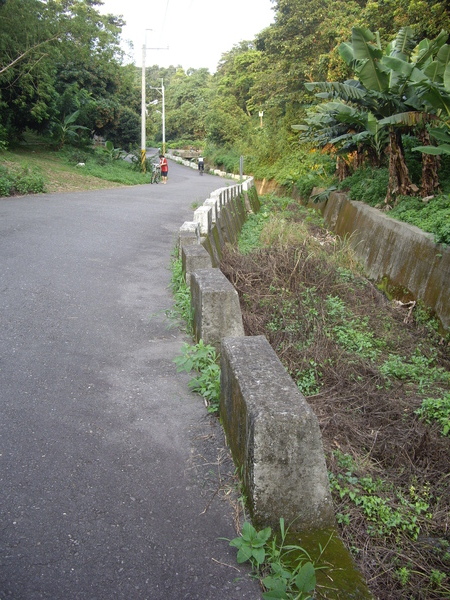 IMGP3319.JPG