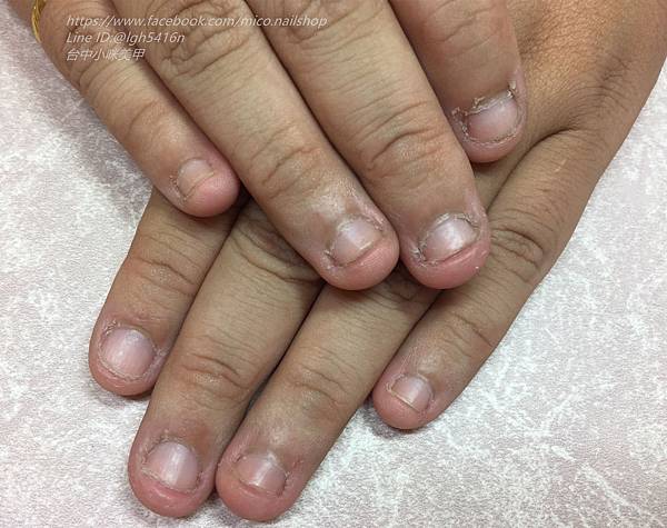 IMG_8355_副本 IMG_8355_副本