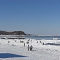 網走海鮮市場