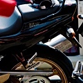 20090412-CRW_2842.jpg