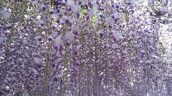 20150425_155828.JPG 20150425_155828.JPG