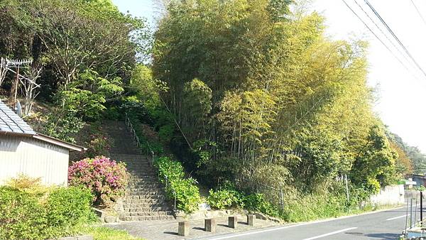 20150425_160601.JPG 20150425_160601.JPG