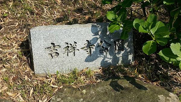 20150425_160703.JPG 20150425_160703.JPG