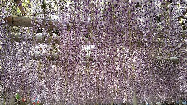 1429964362622.JPG 1429964362622.JPG