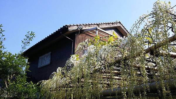 1429964365032.JPG 1429964365032.JPG