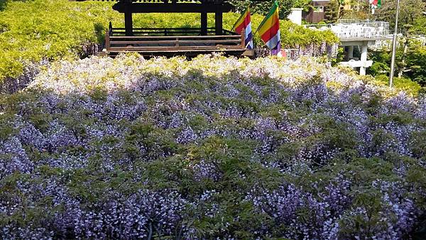 1429964498170.JPG 1429964498170.JPG