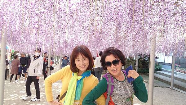 1429970125342.JPG 1429970125342.JPG