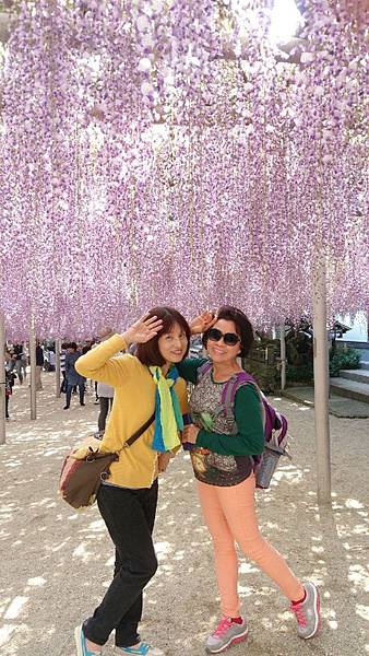 1429970136349.JPG 1429970136349.JPG