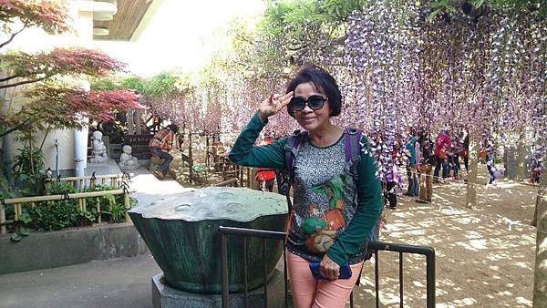 1429970159271.JPG 1429970159271.JPG