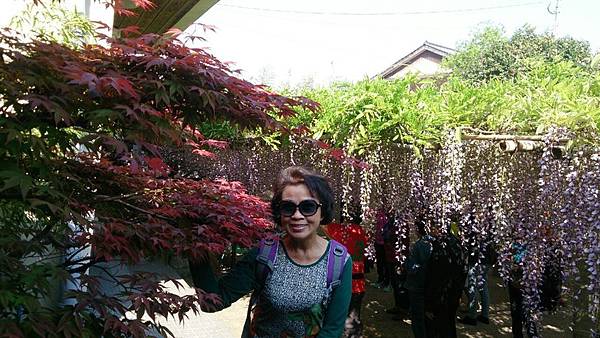 1429970167782.JPG 1429970167782.JPG