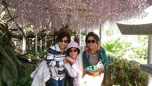 1429970191977.JPG 1429970191977.JPG