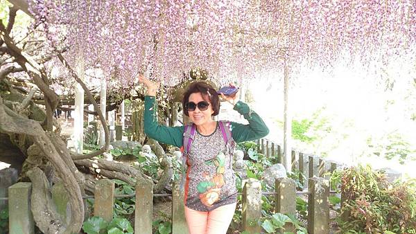 1429970197645.JPG 1429970197645.JPG