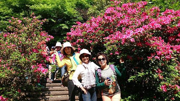 1429970215710.JPG 1429970215710.JPG