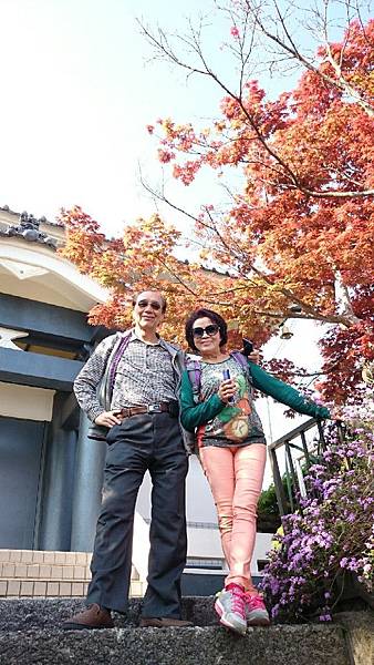 1430047460588.JPG 1430047460588.JPG