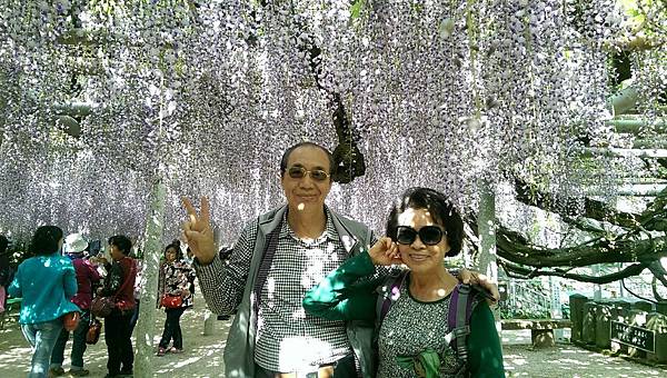 1430220966188.JPG 1430220966188.JPG