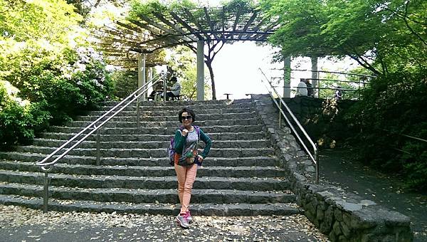 1430220974908.JPG 1430220974908.JPG