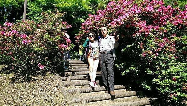 1430220987690.JPG 1430220987690.JPG