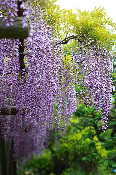 1430356871718.JPG 1430356871718.JPG