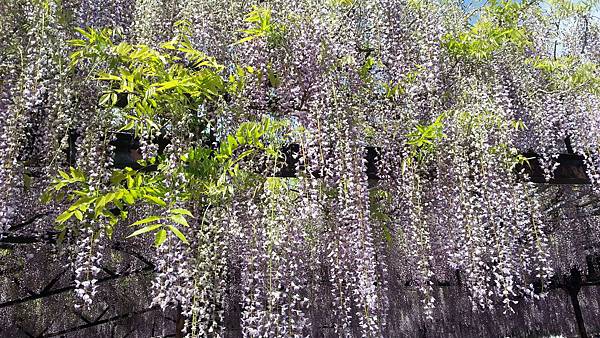 20150427_094628.JPG 20150427_094628.JPG