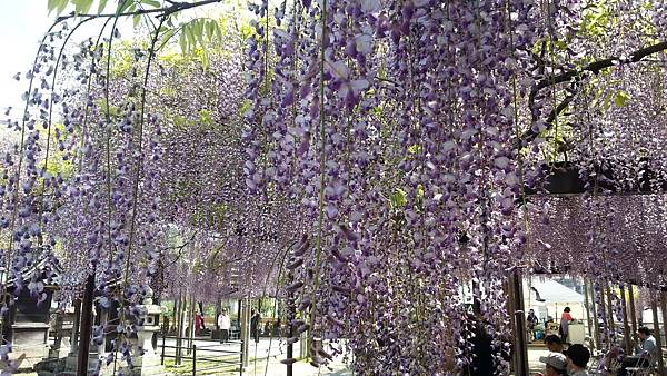 20150427_094910.JPG 20150427_094910.JPG