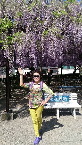 1430141399761.JPG 1430141399761.JPG