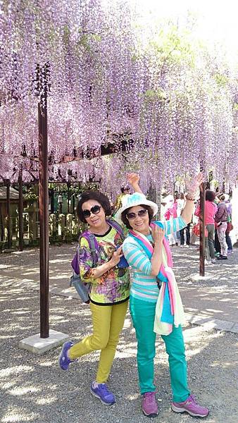 1430141425209.JPG 1430141425209.JPG