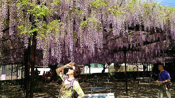 1430141407391.JPG 1430141407391.JPG