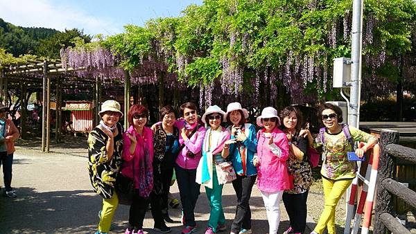 1430141430358.JPG 1430141430358.JPG