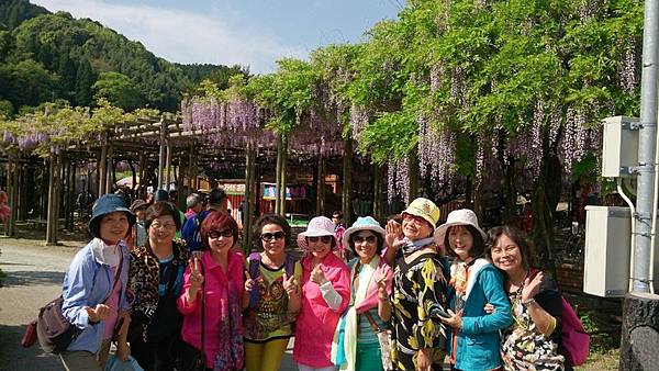 1430141439295.JPG 1430141439295.JPG