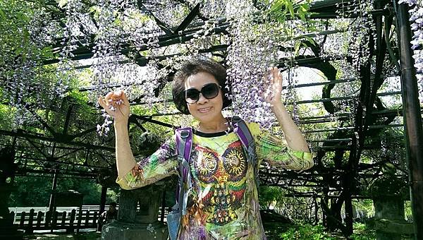 1430220460344.JPG 1430220460344.JPG