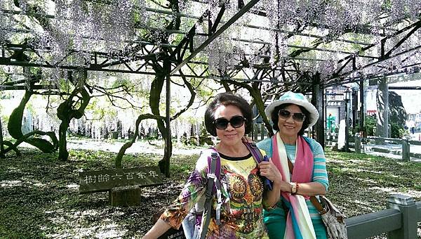 1430220482957.JPG 1430220482957.JPG