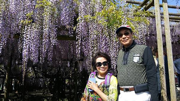 1432548166226.JPG 1432548166226.JPG