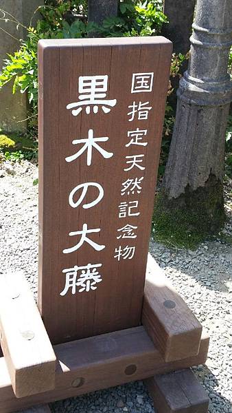 1432641769943.JPG 1432641769943.JPG