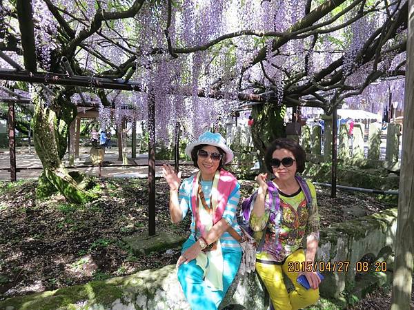 IMG_7886.JPG IMG_7886.JPG