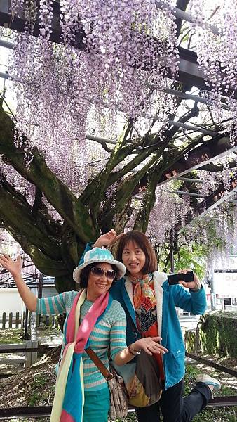 20150427_093828.JPG 20150427_093828.JPG