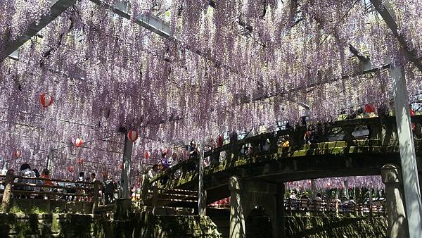 20150427_132059.JPG 20150427_132059.JPG