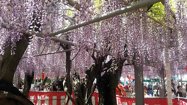 20150427_132808.JPG 20150427_132808.JPG