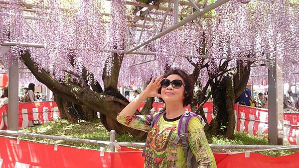 1430140811336.JPG 1430140811336.JPG