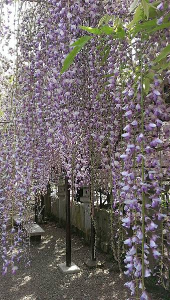 1430142038945.JPG 1430142038945.JPG