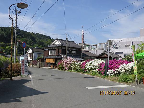 IMG_7883.JPG IMG_7883.JPG