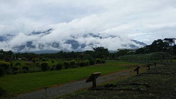 1436084634708.JPG 1436084634708.JPG