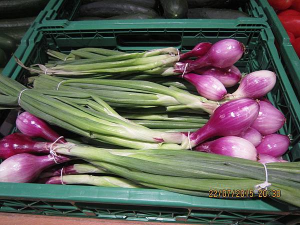 IMG_6122.JPG IMG_6122.JPG