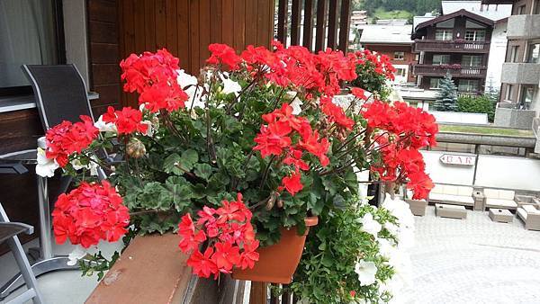 20150726_234614.JPG 20150726_234614.JPG