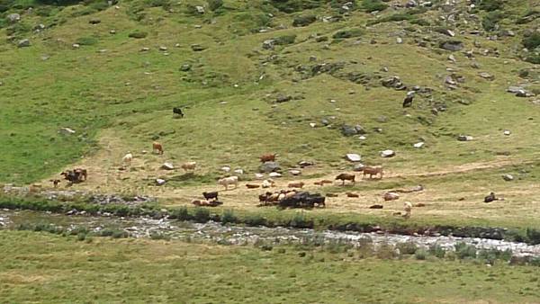 1437925651913.JPG 1437925651913.JPG