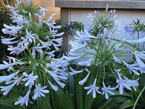 1439688628886.JPG 1439688628886.JPG