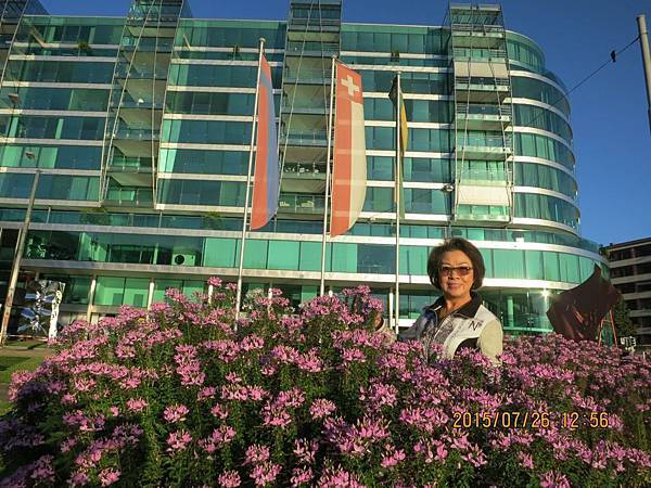 IMG_8416.JPG IMG_8416.JPG